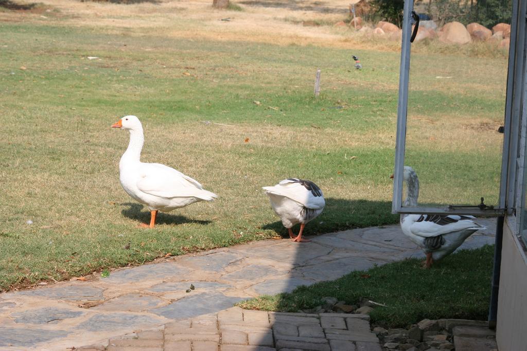 Akwêla Guest Farm Hotel Bloemfontein Exterior foto